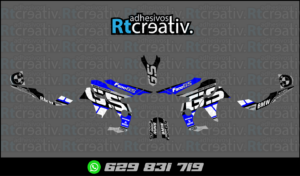 ADHESIVOS Y PEGATINAS DE VINILO BMW GS 800 Rt002-10