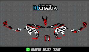 ADHESIVOS Y PEGATINAS DE VINILO BMW GS 800 Rt002-11