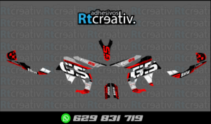 ADHESIVOS Y PEGATINAS DE VINILO BMW GS 800 Rt002-12