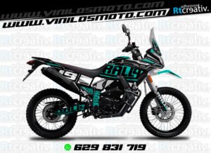 ADHESIVOS Y PEGATINAS DE VINILO VOGE 300 RALLY Rt001-17