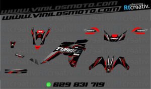 ADHESIVOS Y PEGATINAS DE VINILO APRILIA TUAREG 660 Rt006-01