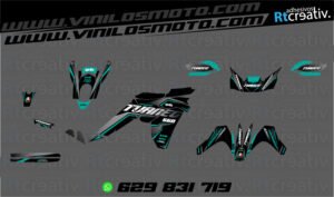 ADHESIVOS Y PEGATINAS DE VINILO APRILIA TUAREG 660 Rt006-04