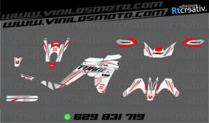 ADHESIVOS Y PEGATINAS DE VINILO APRILIA TUAREG 660 Rt006-09