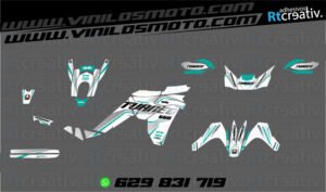 ADHESIVOS Y PEGATINAS DE VINILO APRILIA TUAREG 660 Rt006-12