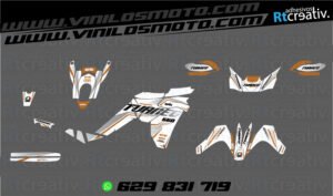 ADHESIVOS Y PEGATINAS DE VINILO APRILIA TUAREG 660 Rt006-15