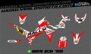 ADHESIVOS Y PEGATINAS DE VINILO VOGE 300 RALLY Rt006-01