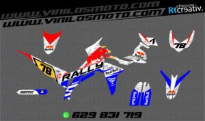 ADHESIVOS Y PEGATINAS DE VINILO VOGE 300 RALLY Rt006-02