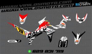 ADHESIVOS Y PEGATINAS DE VINILO VOGE 300 RALLY Rt006-03