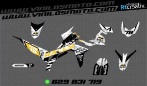 ADHESIVOS Y PEGATINAS DE VINILO VOGE 300 RALLY Rt006-04