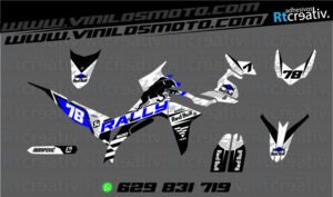 ADHESIVOS Y PEGATINAS DE VINILO VOGE 300 RALLY Rt006-06
