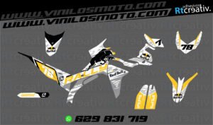 ADHESIVOS Y PEGATINAS DE VINILO VOGE 300 RALLY Rt006-08