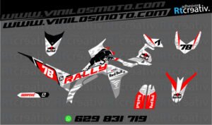 ADHESIVOS Y PEGATINAS DE VINILO VOGE 300 RALLY Rt006-09