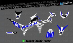 ADHESIVOS Y PEGATINAS DE VINILO VOGE 300 RALLY Rt006-10