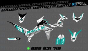 ADHESIVOS Y PEGATINAS DE VINILO VOGE 300 RALLY Rt006-11