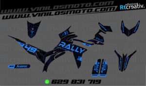 175€ - Voge 300 Rally | Diseño Rt007 4 ADHESIVOS Y PEGATINAS DE VINILO VOGE 300 RALLY Rt007-02