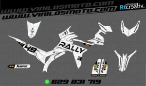 175€ - Voge 300 Rally | Diseño Rt007 6 ADHESIVOS Y PEGATINAS DE VINILO VOGE 300 RALLY Rt007-03