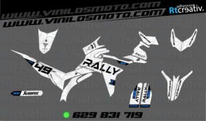 175€ - Voge 300 Rally | Diseño Rt007 8 ADHESIVOS Y PEGATINAS DE VINILO VOGE 300 RALLY Rt007-04