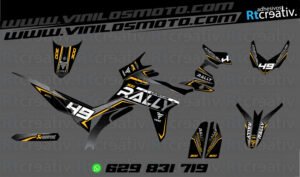 175€ - Voge 300 Rally | Diseño Rt008 2 ADHESIVOS Y PEGATINAS DE VINILO VOGE 300 RALLY Rt008-01