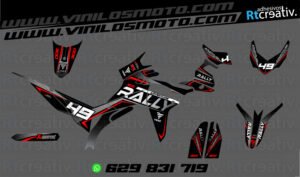 175€ - Voge 300 Rally | Diseño Rt008 6 ADHESIVOS Y PEGATINAS DE VINILO VOGE 300 RALLY Rt008-03