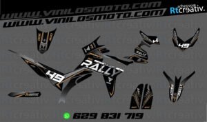 175€ - Voge 300 Rally | Diseño Rt008 10 ADHESIVOS Y PEGATINAS DE VINILO VOGE 300 RALLY Rt008-05