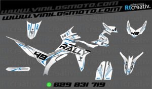 175€ - Voge 300 Rally | Diseño Rt008 16 ADHESIVOS Y PEGATINAS DE VINILO VOGE 300 RALLY Rt008-08
