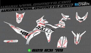 175€ - Voge 300 Rally | Diseño Rt008 18 ADHESIVOS Y PEGATINAS DE VINILO VOGE 300 RALLY Rt008-09