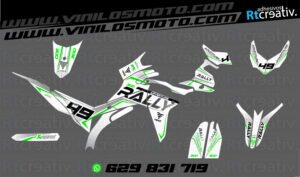 175€ - Voge 300 Rally | Diseño Rt008 22 ADHESIVOS Y PEGATINAS DE VINILO VOGE 300 RALLY Rt008-11