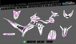 175€ - Voge 300 Rally | Diseño Rt008 24 ADHESIVOS Y PEGATINAS DE VINILO VOGE 300 RALLY Rt008-12