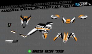 ADHESIVOS Y PEGATINAS DE VINILO APRILIA TUAREG 660 Rt002-10