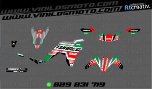 ADHESIVOS Y PEGATINAS DE VINILO APRILIA TUAREG 660 Rt003-16