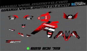 ADHESIVOS Y PEGATINAS DE VINILO APRILIA TUAREG 660 Rt004-01