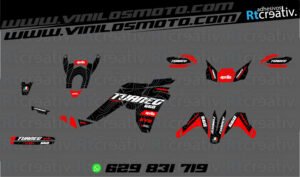 ADHESIVOS Y PEGATINAS DE VINILO APRILIA TUAREG 660 Rt005-01