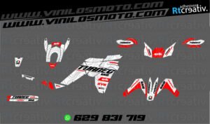 ADHESIVOS Y PEGATINAS DE VINILO APRILIA TUAREG 660 Rt005-05