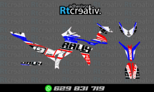 ADHESIVOS Y PEGATINAS DE VINILO VOGE 300 RALLY Rt001-01