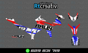 ADHESIVOS Y PEGATINAS DE VINILO VOGE 300 RALLY Rt001-02