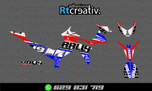 ADHESIVOS Y PEGATINAS DE VINILO VOGE 300 RALLY Rt001-04