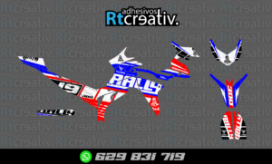 ADHESIVOS Y PEGATINAS DE VINILO VOGE 300 RALLY Rt001-05