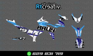 ADHESIVOS Y PEGATINAS DE VINILO VOGE 300 RALLY Rt001-06