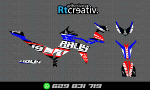 ADHESIVOS Y PEGATINAS DE VINILO VOGE 300 RALLY Rt001-07