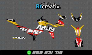 ADHESIVOS Y PEGATINAS DE VINILO VOGE 300 RALLY Rt001-08