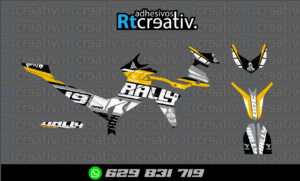 ADHESIVOS Y PEGATINAS DE VINILO VOGE 300 RALLY Rt001-12