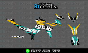 ADHESIVOS Y PEGATINAS DE VINILO VOGE 300 RALLY Rt001-13