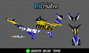 ADHESIVOS Y PEGATINAS DE VINILO VOGE 300 RALLY Rt001-14