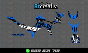 ADHESIVOS Y PEGATINAS DE VINILO VOGE 300 RALLY Rt001-16
