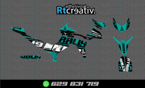 ADHESIVOS Y PEGATINAS DE VINILO VOGE 300 RALLY Rt001-17