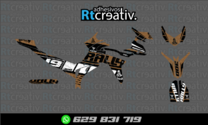 ADHESIVOS Y PEGATINAS DE VINILO VOGE 300 RALLY Rt001-18