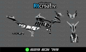 ADHESIVOS Y PEGATINAS DE VINILO VOGE 300 RALLY Rt001-19