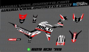 175€ - Voge 300 Rally | Diseño Rt002 2 ADHESIVOS Y PEGATINAS DE VINILO VOGE 300 RALLY Rt002-01