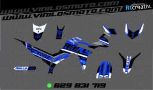 175€ - Voge 300 Rally | Diseño Rt002 6 ADHESIVOS Y PEGATINAS DE VINILO VOGE 300 RALLY Rt002-03