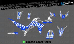 175€ - Voge 300 Rally | Diseño Rt003 4 ADHESIVOS Y PEGATINAS DE VINILO VOGE 300 RALLY Rt003-02